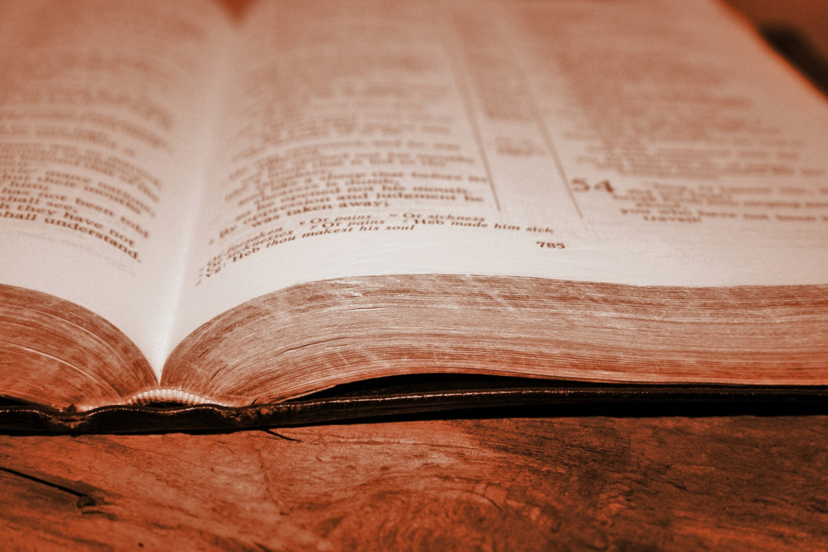 What Role Should The Bible Play In A Church Finding Healthy Church